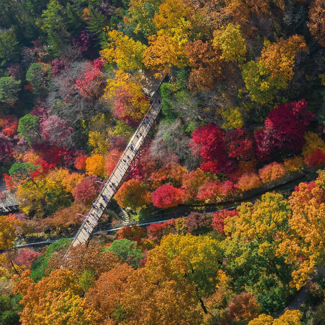 화담숲 모노레일