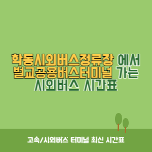 학동시외버스정류장에서 벌교공용버스터미널 가는 시외버스 시간표 최신정보