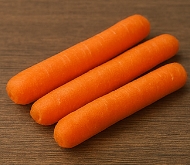 차전자피의 효능