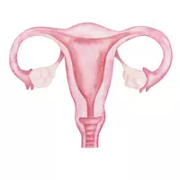 인유두종바이러스 치료