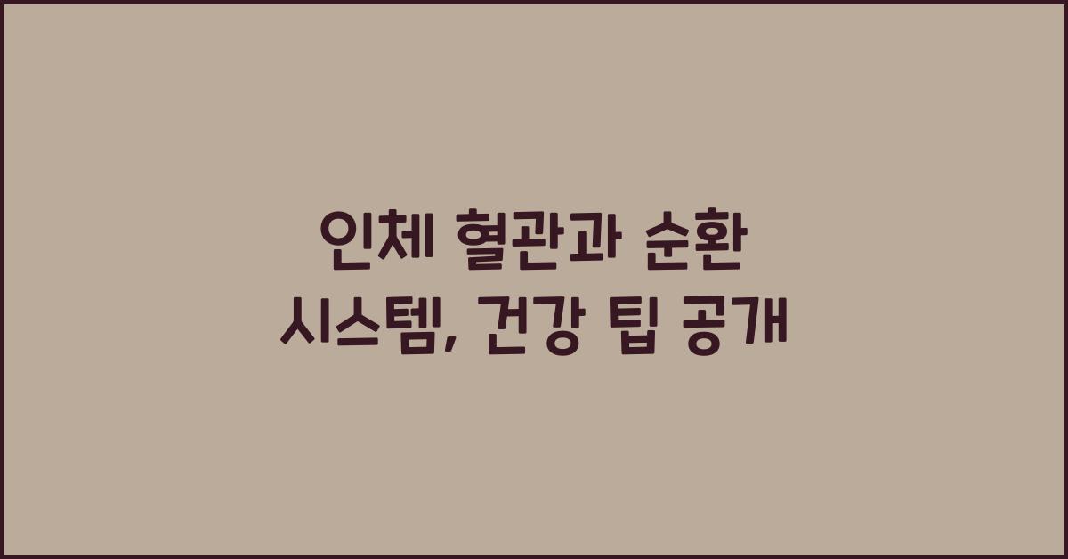 인체 혈관, 순환 시스템