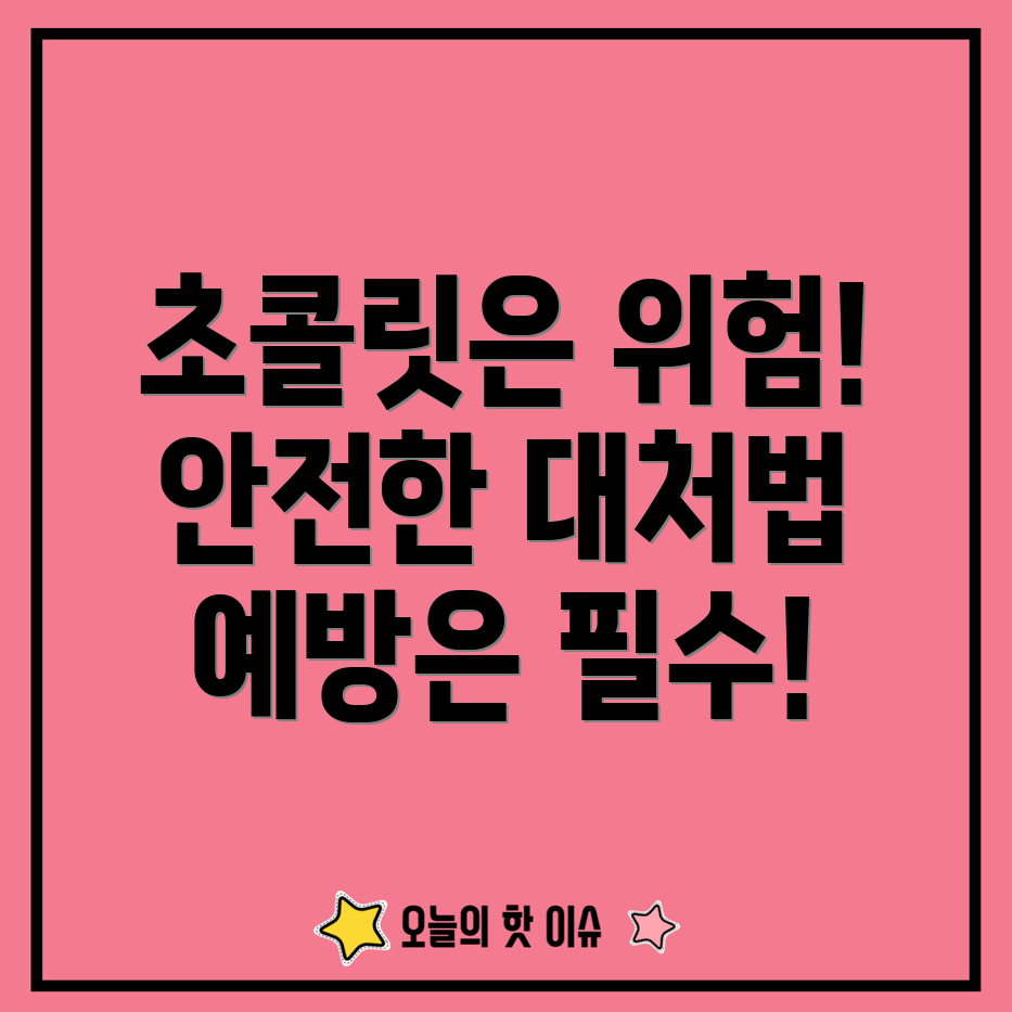 반려동물 초콜릿 중독