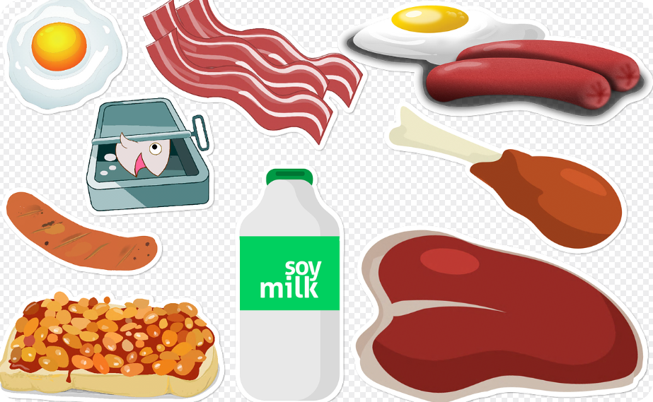 단백질을 섭취할 수 있는 음식들