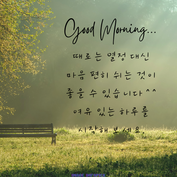 아침 인사로 좋은 글 이미지 아침 인사말 문구 모음
