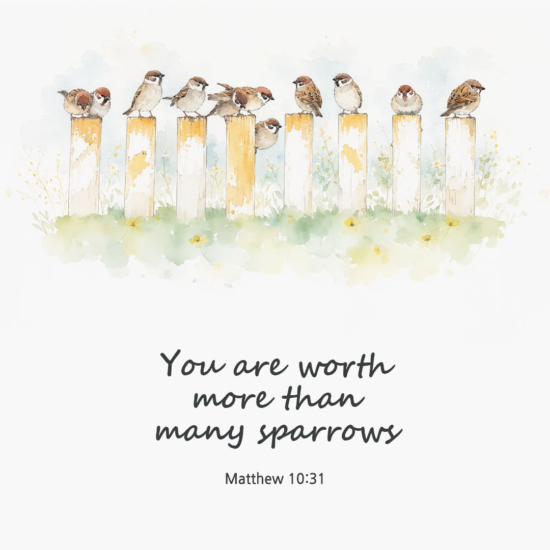 Today's Bible verse card Matthew 10:31 scripture image