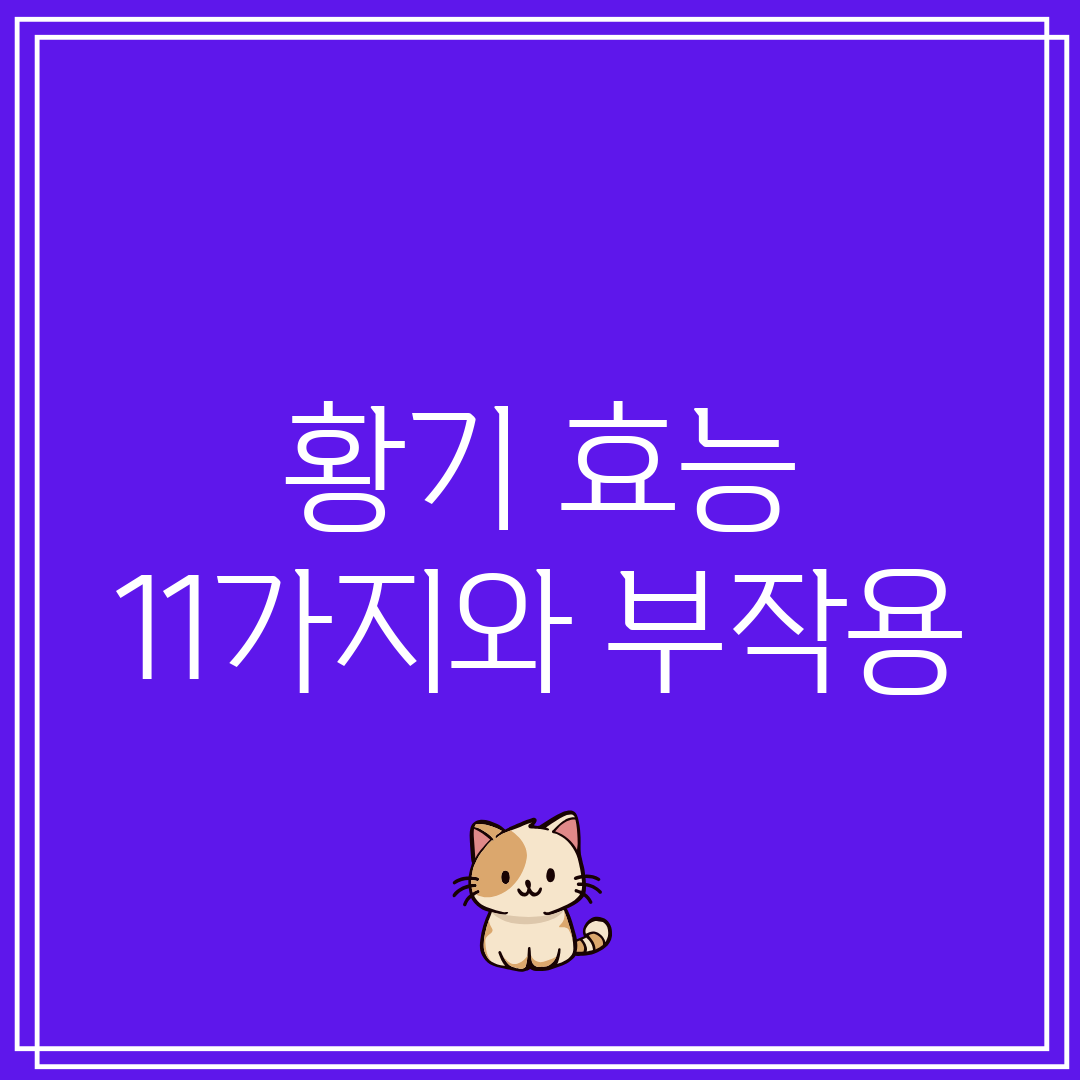 황기 효능 11가지와 부작용
