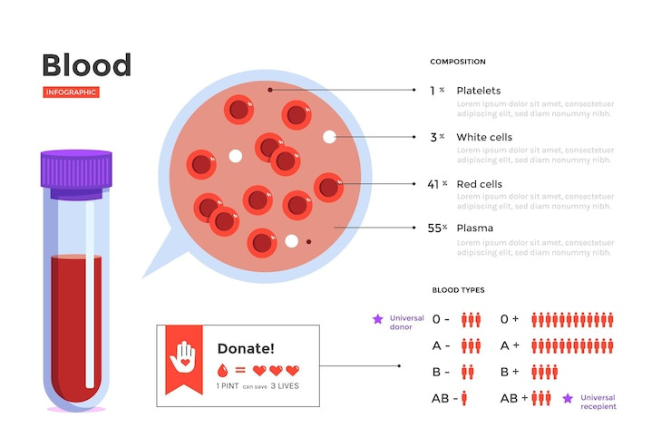 혈관청소에좋은음식