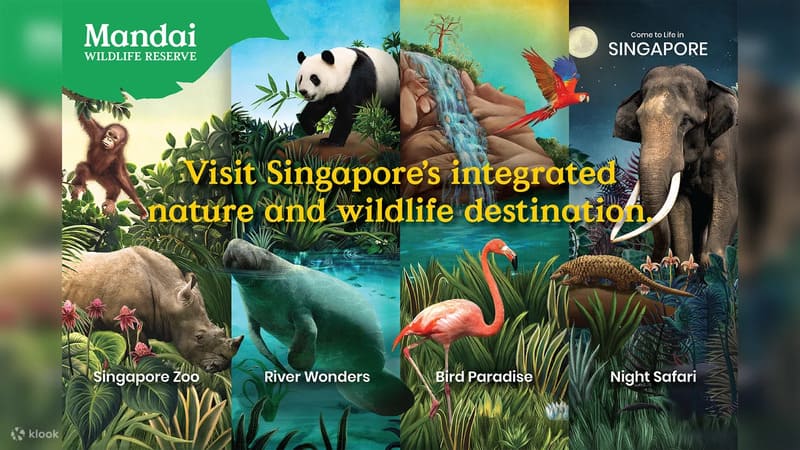 만다이 야생동물 보호구역 멀티파크 티켓 패스 예매 할인 싱가포르