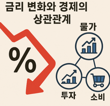 금리변화에 경제의 상관관계사진