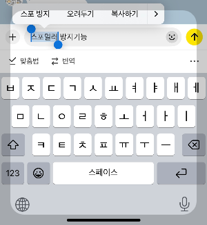 카카오톡 스포방지