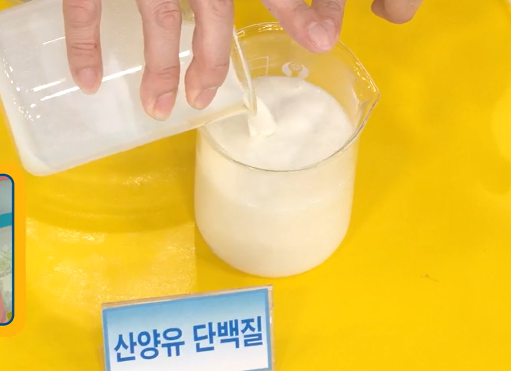 산양유 단백질 효능