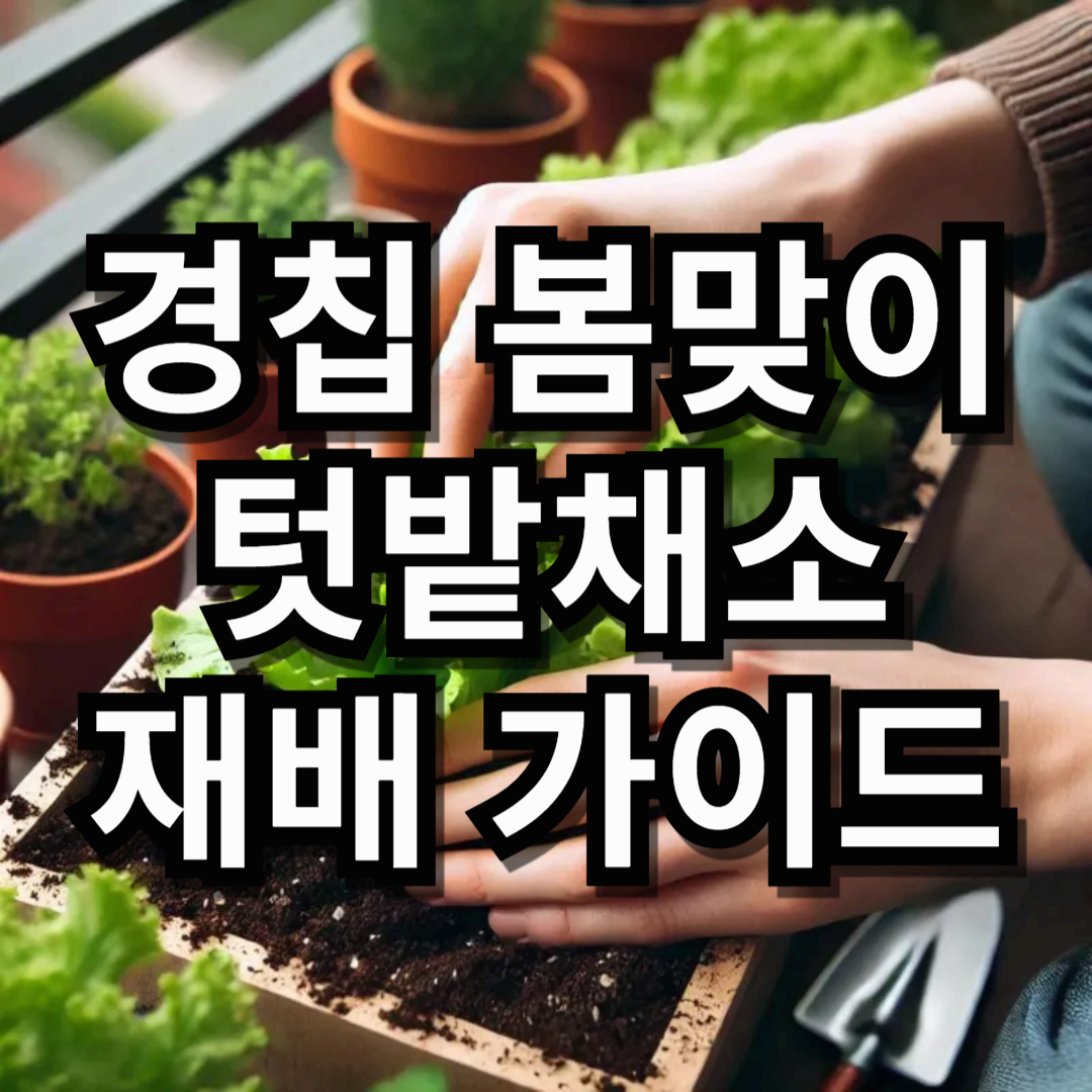 경칩, 봄맞이 텃밭채소 재배 가이드