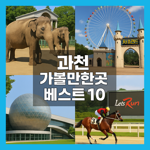 과천 가볼만한곳 베스트10