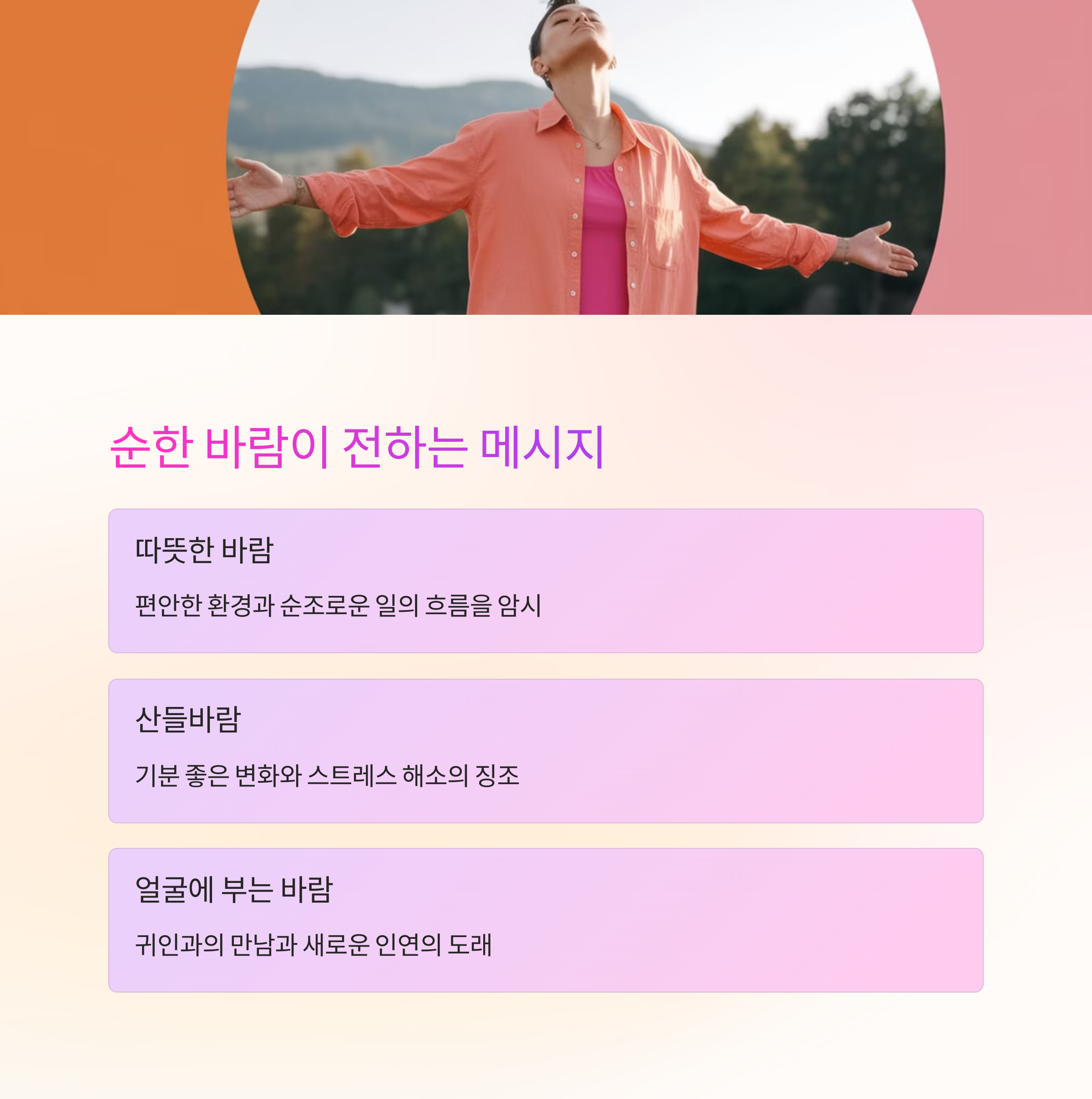 바람이 순하게 부는 꿈