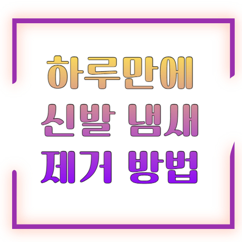 하루만에 신발 냄새 제거 방법 2026 총정리 ❘ 원인부터 빠른 탈취까지