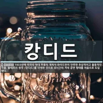 볼테르 캉디드 풍자 소설의 사회 비판과 철학적 메시지_14