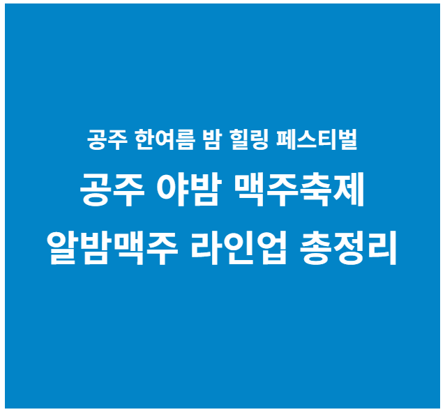 공주 야밤 맥주 축제