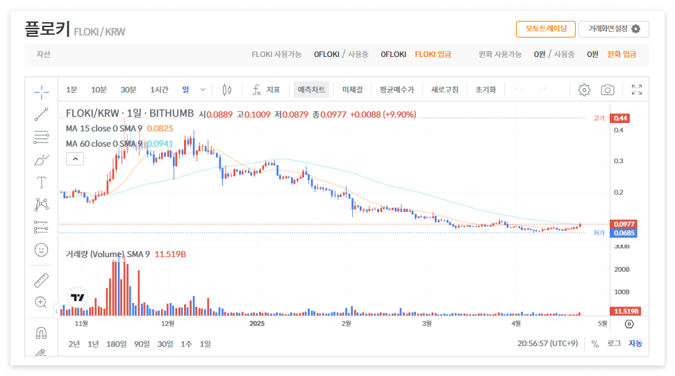 플로키 코인 시세 전망