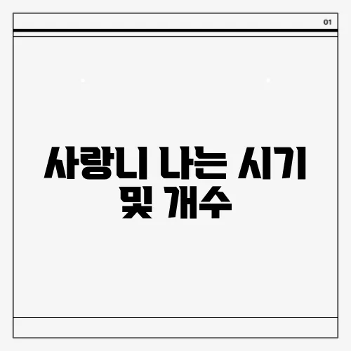 사랑니 나는 시기 및 개수