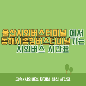 대구북부시외버스터미널에서 동해시종합버스터미널 가는 시외버스 시간표 최신정보