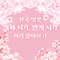 벚꽃-개화-시기-썸네일