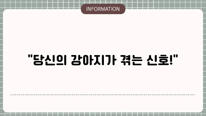 강아지 백내장 증상: 