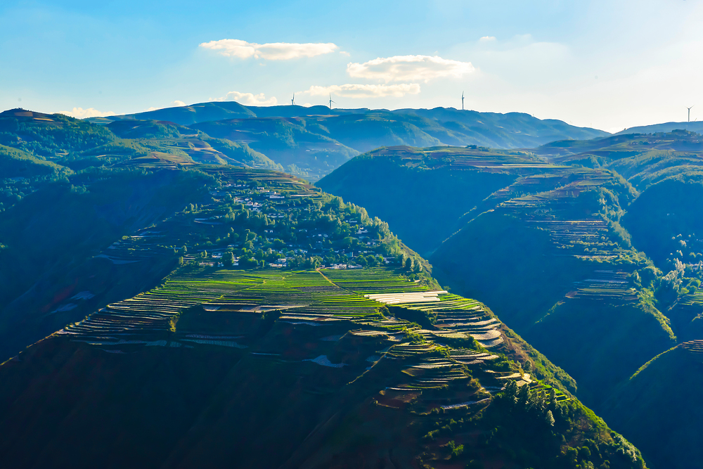 농지 임대차 계약서 작성 시 유의사항