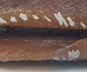 과메기 효능 숙취 해소에 도움