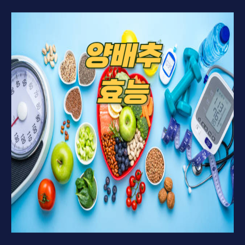 양배추 효능