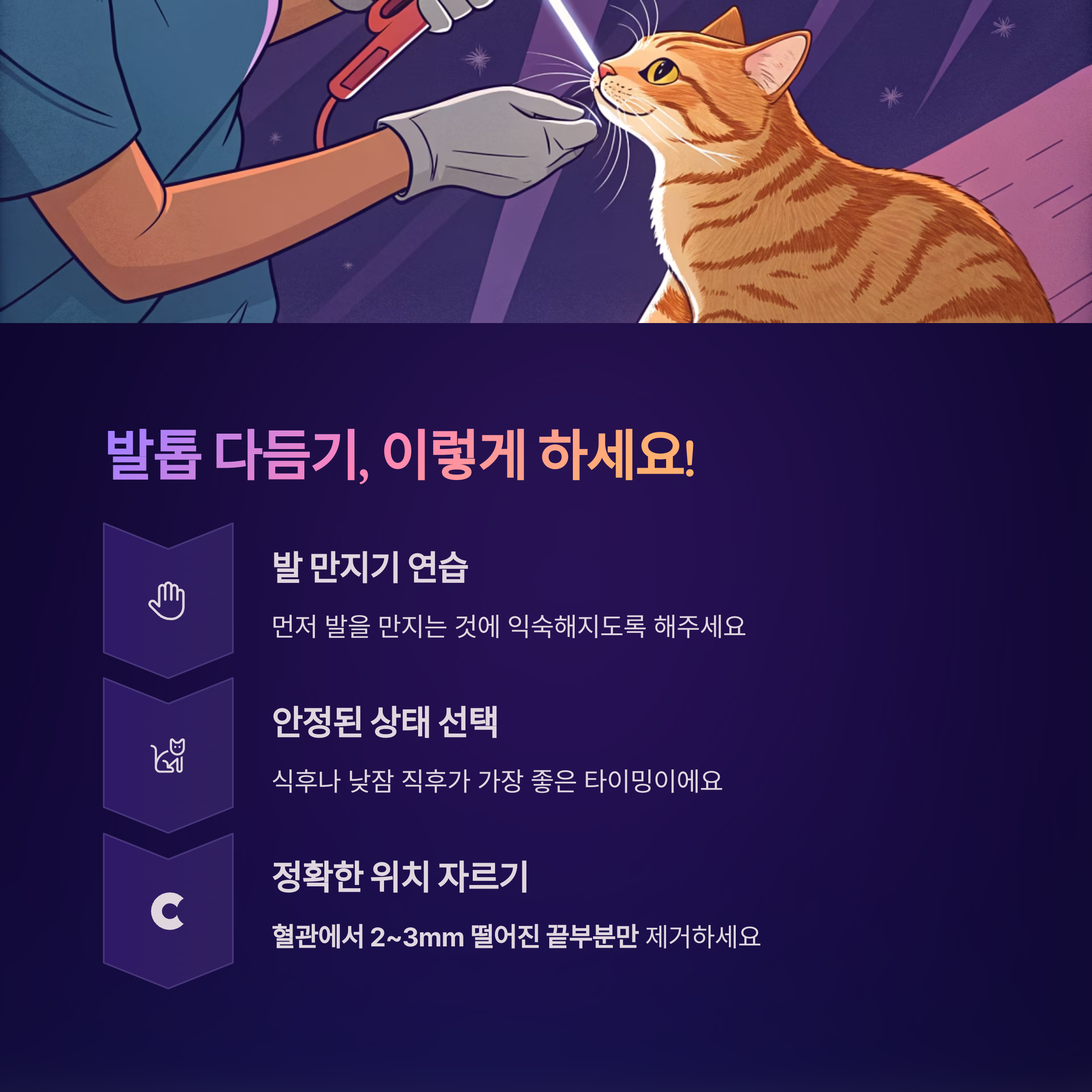 발톱 다듬기, 이렇게 하세요!