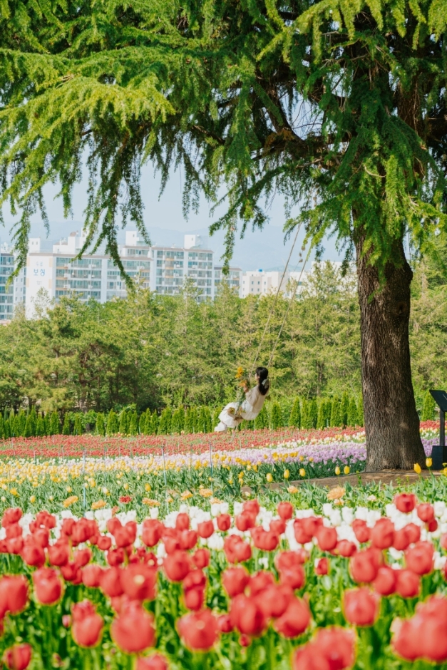 이월드 튤립 트래블