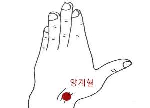 수양명대장경_양계혈