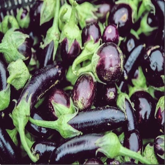 가지 꼭지 효능 및 영양소 먹는 법과 주의점