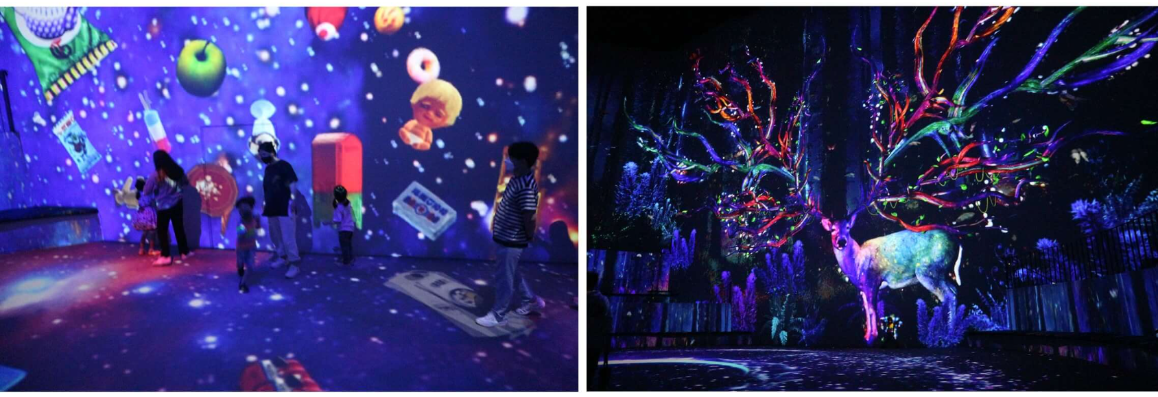 제주도-일정짜기-노형수퍼마켙