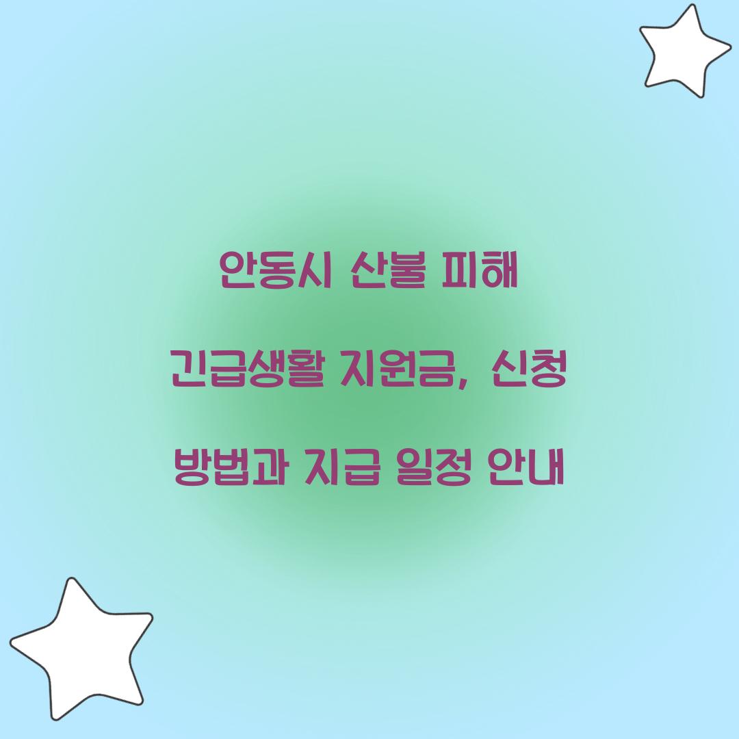 안동시 산불 피해 긴급생활 지원금