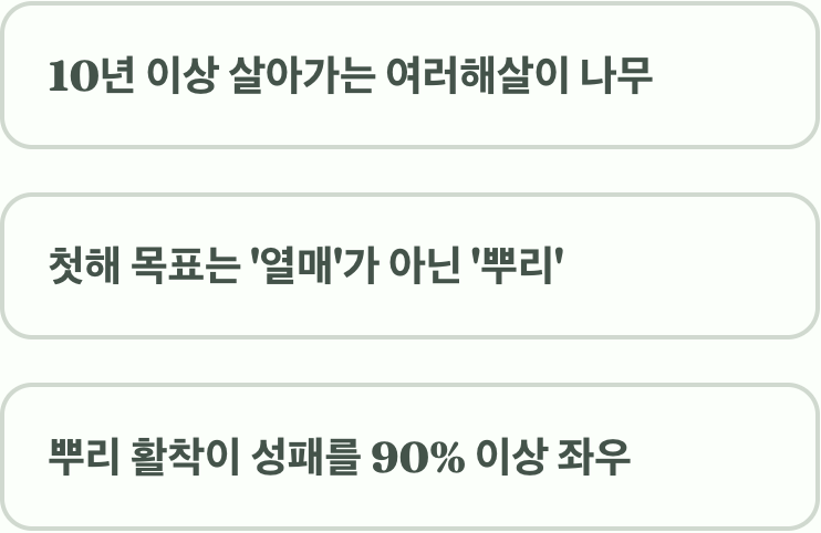 블루베리는 '뿌리'로 말해요