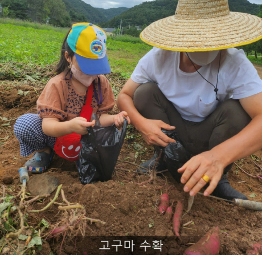 양평_빙송어축제_수미체험패키지