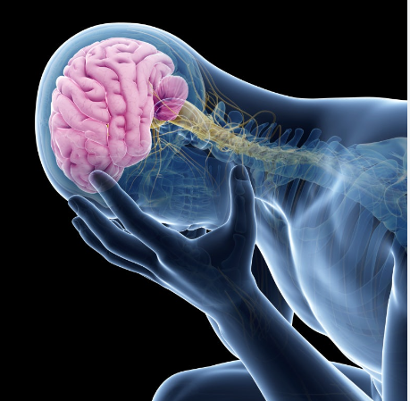 뇌종양의 양성과 악성