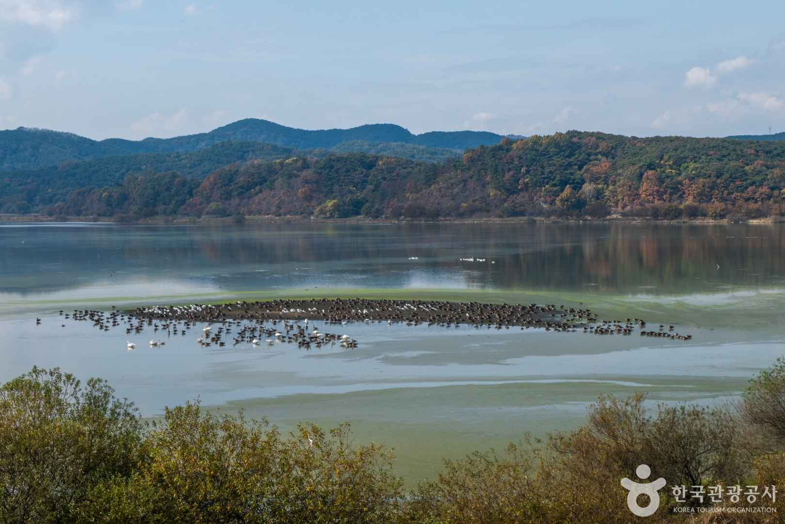 창녕 우포늪 생태공원