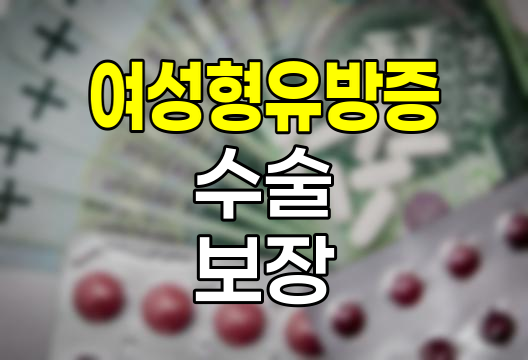 현대해상 여성형유방증 수술 보장 상세 안내