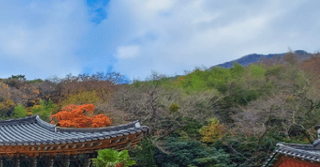 두륜산 케이블카 요금