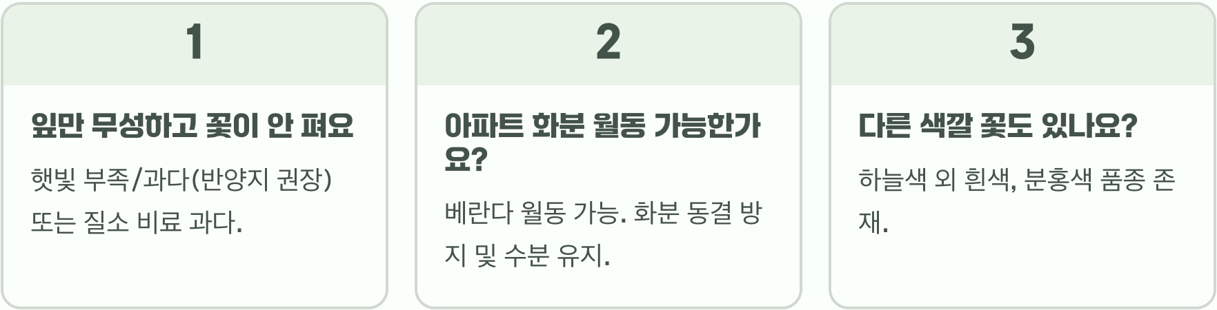 물망초 키우기, 씨앗 파종부터 월동까지 A to Z