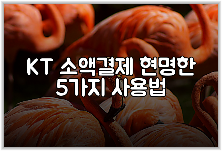 KT 소액결제 현명한 5가지 사용법