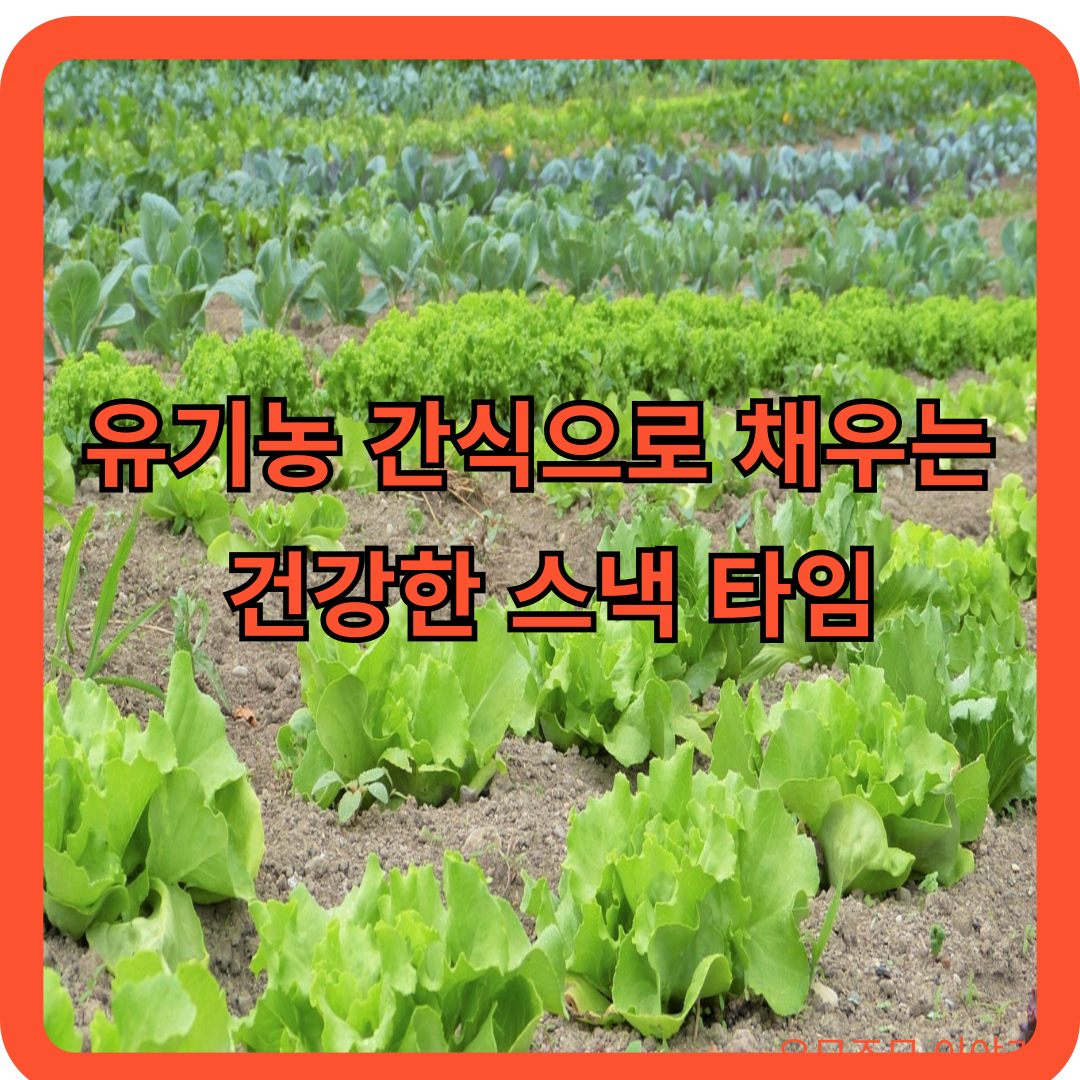유기농-간식