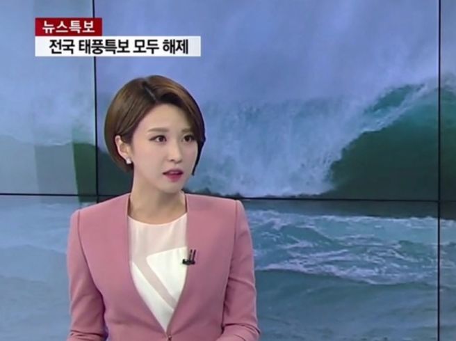 안귀령 앵커 프로필