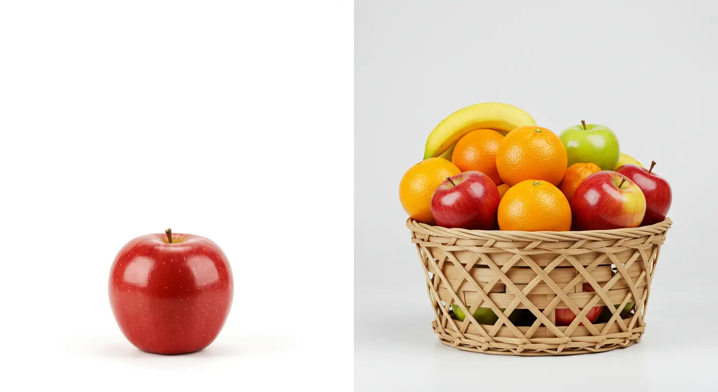 하나의 종목에 집중하는 개별 배당주 투자와 여러 종목에 분산 투자하는 배당 ETF의 차이