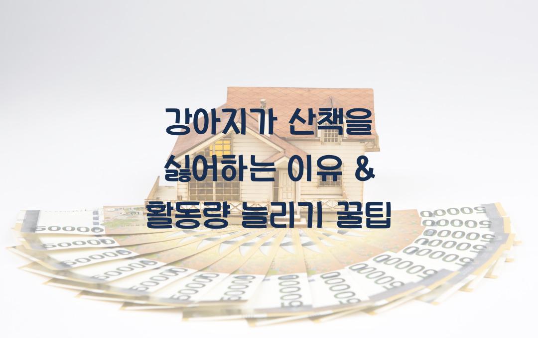 강아지가 산책을 싫어하는 이유 & 활동량 늘리는 법