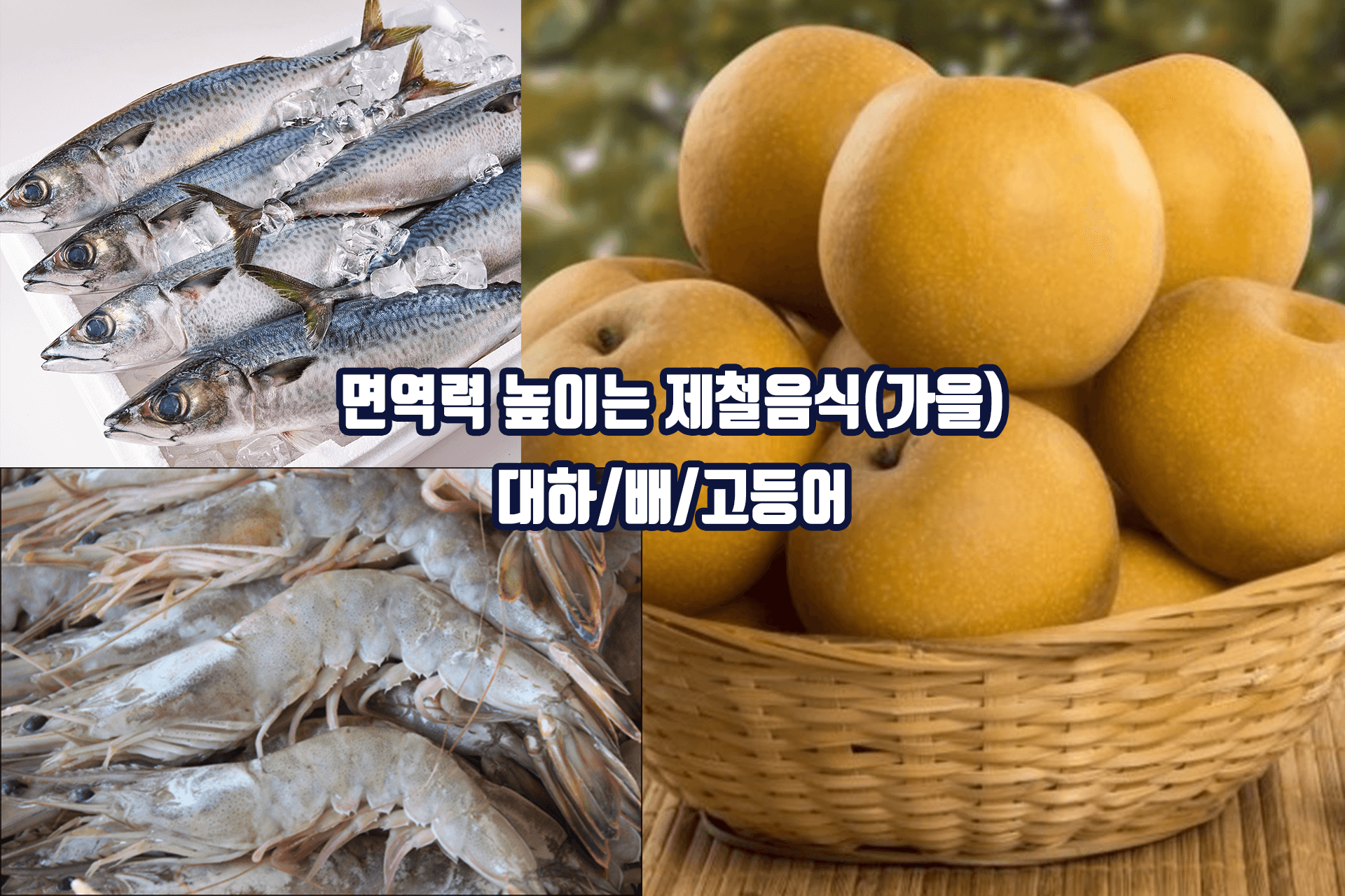 면역력 높이는 가을 제철음식 - 대하 배 고등어