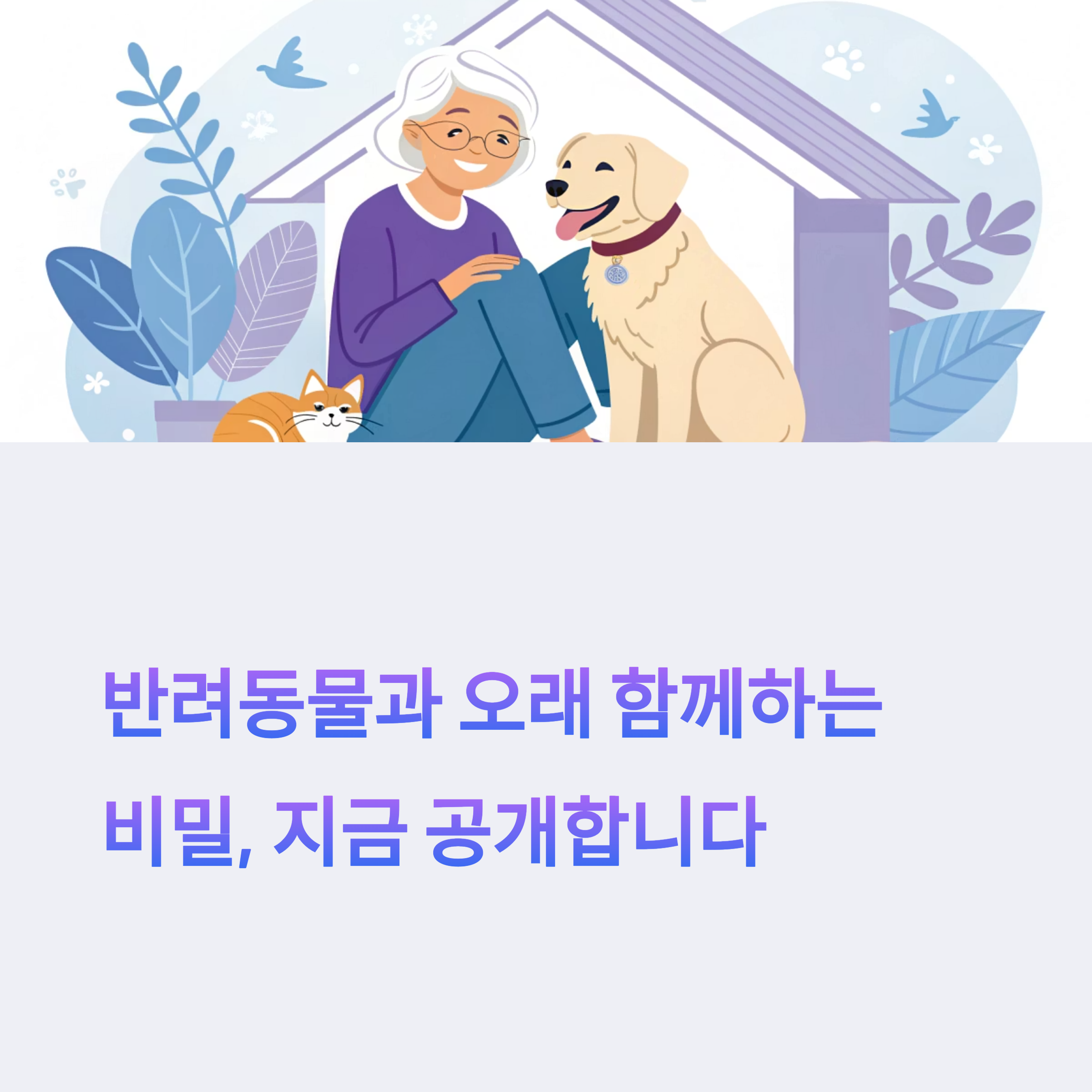 반려동물과 오래 함께하는 비밀