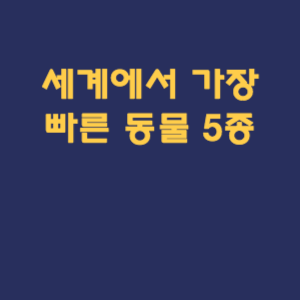 세계에서 가장 빠른 동물 5종